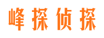 兴仁婚外情调查取证